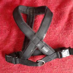 dog harness small (up to 24inches)