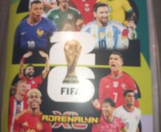 Panini World Cup 2026 binder almost full + extra cards