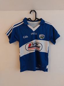 laois gaa jersey