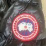 canada goose jacket Image 5