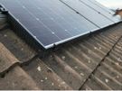 Solar bird guard Image 4
