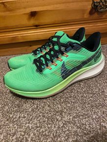 Nike Pegasus 39