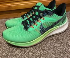 Nike Pegasus 39