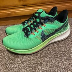 Nike Pegasus 39