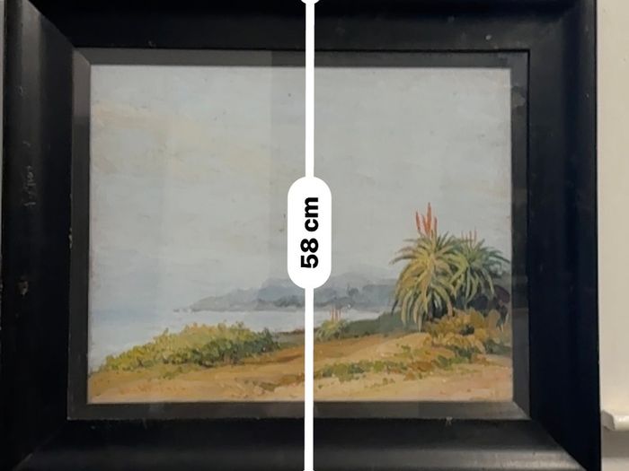 John Williams signed original oil painting - Coastal landscape with Aloes