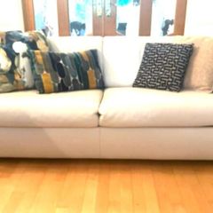 Leather sofa bed