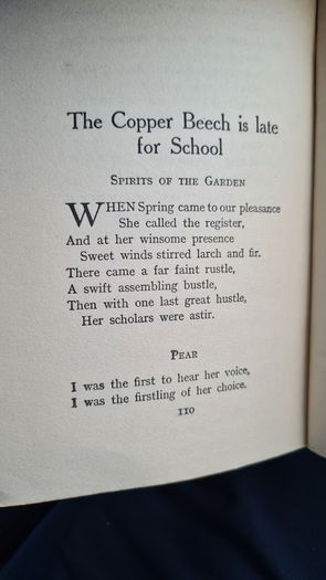 Through The Window Of A Little House By Fay Inch Fawn. Hardback In Good Condition.