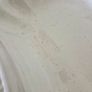 White Tureen Spode Image 5