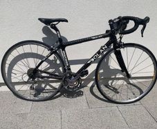 Dolan Carbon Fibre Bike