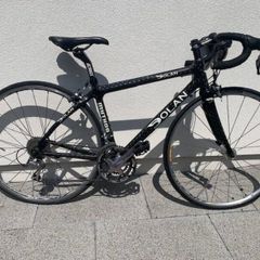 Dolan Carbon Fibre Bike