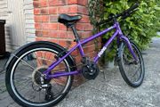 frog bike 55