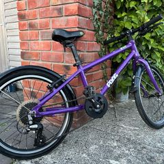frog bike 55