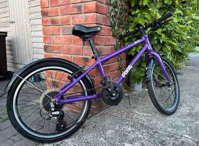frog bike 55