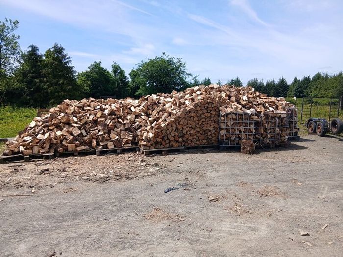 Seasoned firewood