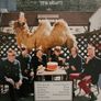 Wilco - (The Album) Image 2