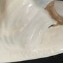 Rare Vintage Royal Dux Porcelain Pheasant Figurine Image 9