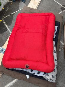 Dog beds