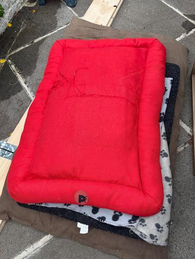 Dog beds
