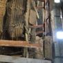 Kiln dried Irish timber / live edge planks Image 5