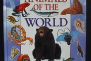 SALE!  Animals Of The World