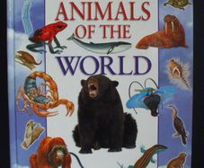 SALE!  Animals Of The World