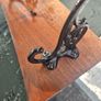 Vintage cast iron 8 hook wall coathanging rail Image 4