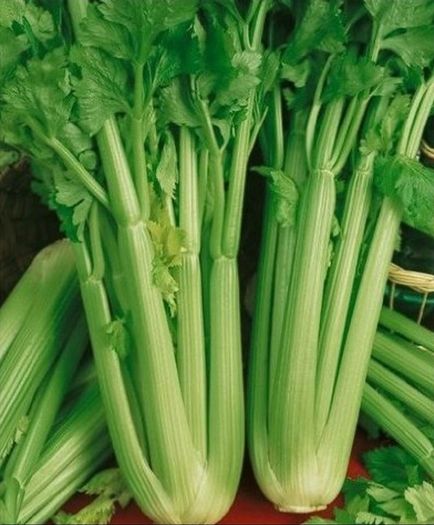 (C) Celery Tall Utah seeds 0.5g
