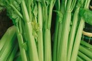 (C) Celery Tall Utah seeds 0.5g