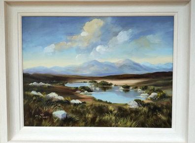 Connemara oil painting