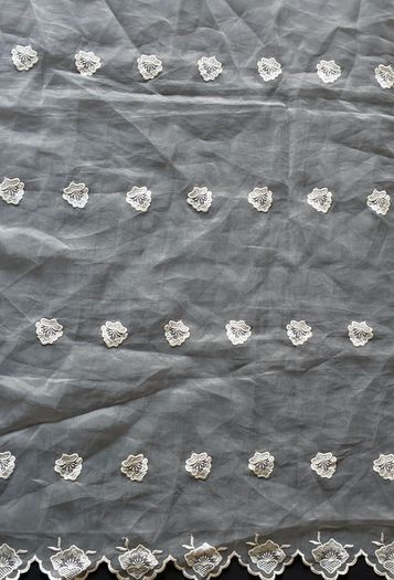 Lace Remnant