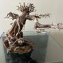 WIO Bonsai Arboretum aquatic decoration Image 5