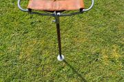 Antique shooting stick