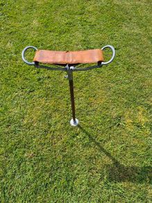 Antique shooting stick
