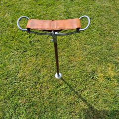 Antique shooting stick