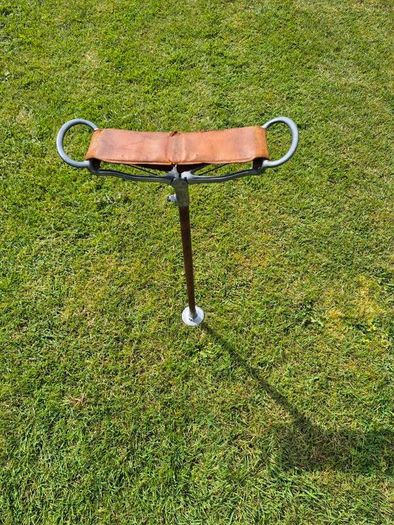 Antique shooting stick