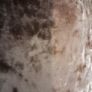 curtians 66x81 velvet ring tops Image 4