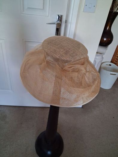 Ladies occasion hat