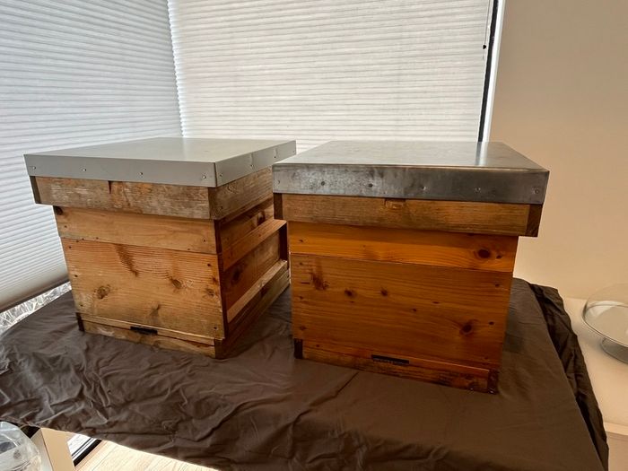 2 x Cedar National Beehives  - one brood box, 1 super box, mesh base with overwinter polycarbonate cover, queen excluder