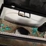 Small fish tank Image 7