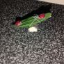 Miniature garden ornaments Image 3