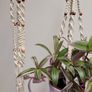 Indoor Plant Hangers Image 2