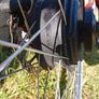 txed electric bike Image 3