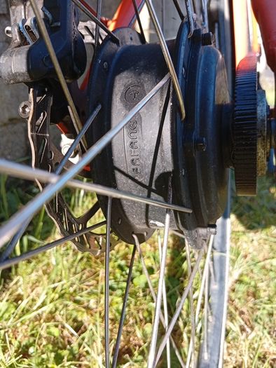 txed electric bike