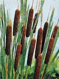 plants