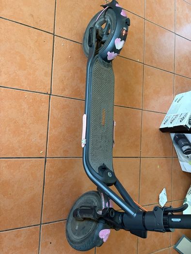 Ninebot F30 plus (road legal)