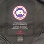 Canada goose Image 2