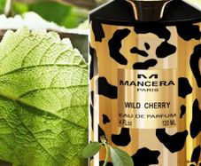 Mancera wild cherry 10 ml samples