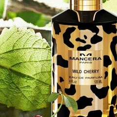 Mancera wild cherry 10 ml samples