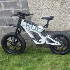 electric bicycle