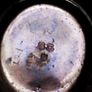Set of 3 Vintage Pocket Watches - Incl. Working Ingersoll Triumph Image 8